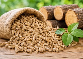 Wood pellet Indonesia sebagai bahan bakar biomassa